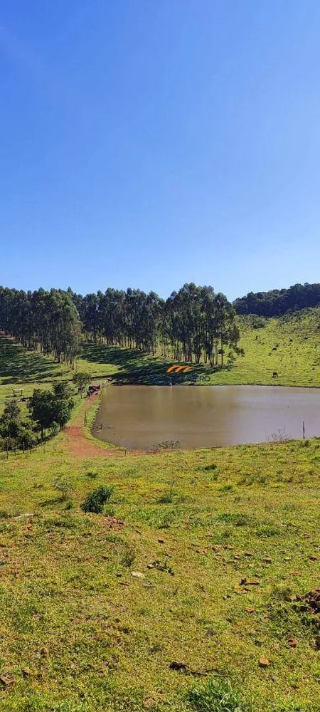 Fazenda, 289 hectares - Foto 4