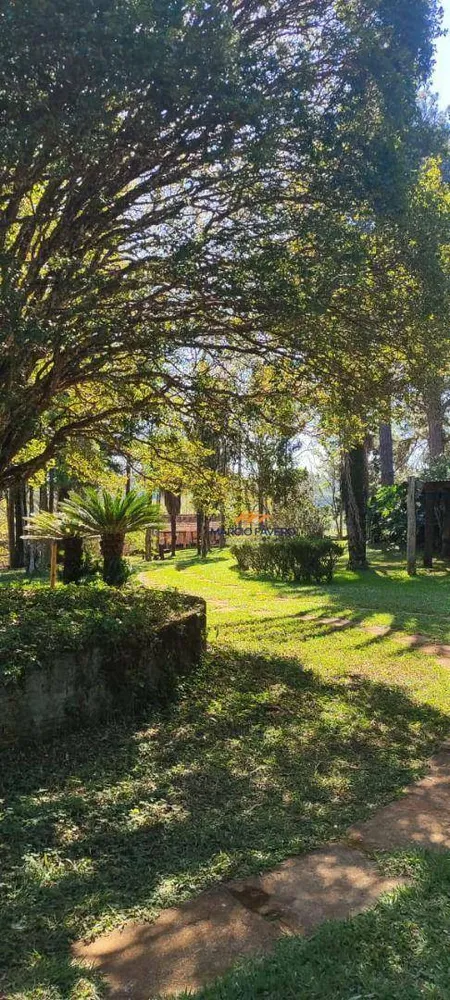 Fazenda, 289 hectares - Foto 8