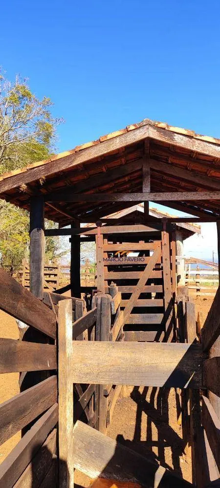 Fazenda, 289 hectares - Foto 6