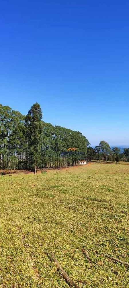 Fazenda, 289 hectares - Foto 5