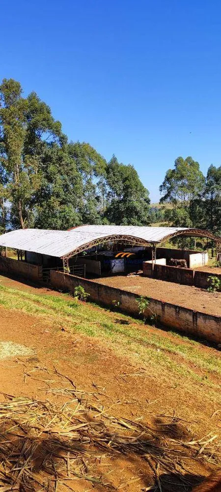 Fazenda, 289 hectares - Foto 1