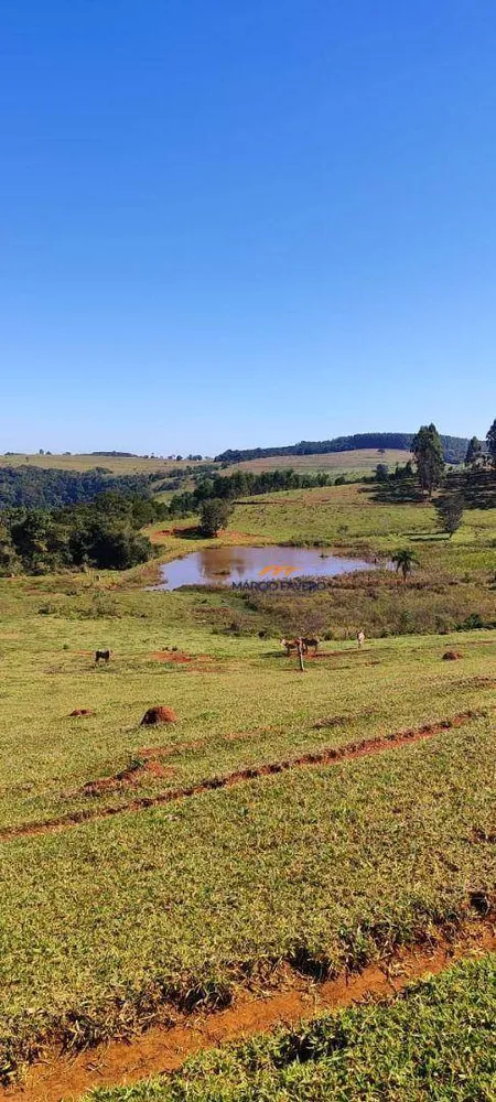 Fazenda, 289 hectares - Foto 8