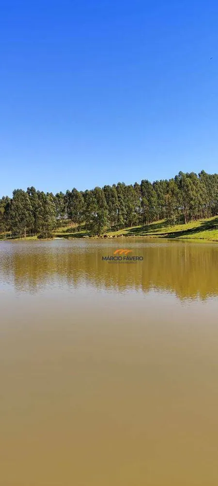 Fazenda, 289 hectares - Foto 7