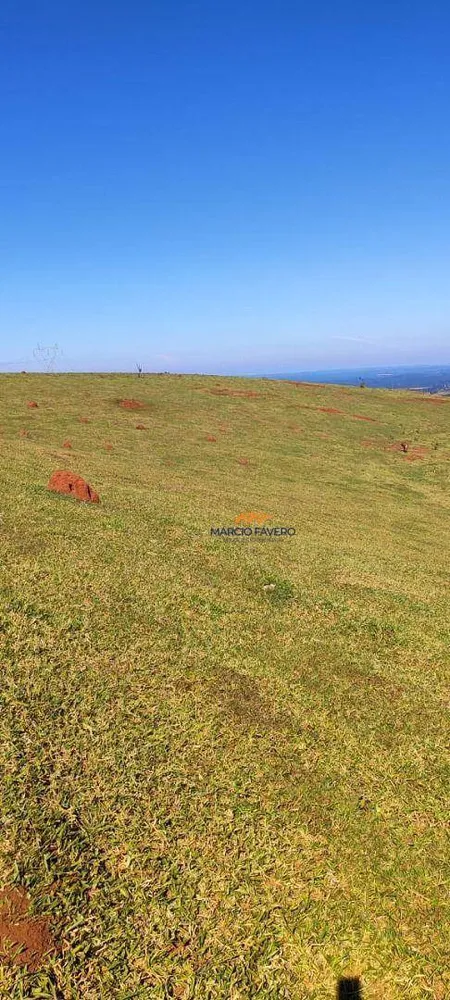 Fazenda, 289 hectares - Foto 14