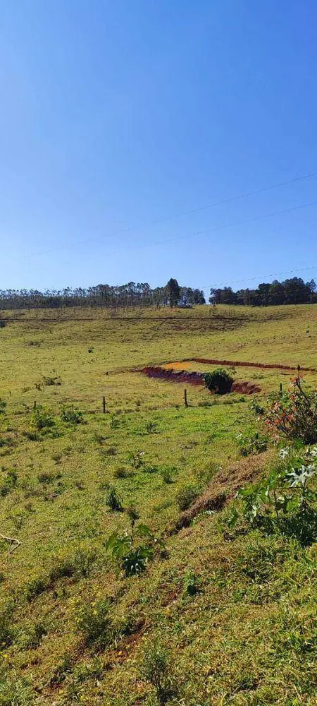 Fazenda, 289 hectares - Foto 2