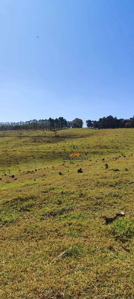 Fazenda, 289 hectares - Foto 1