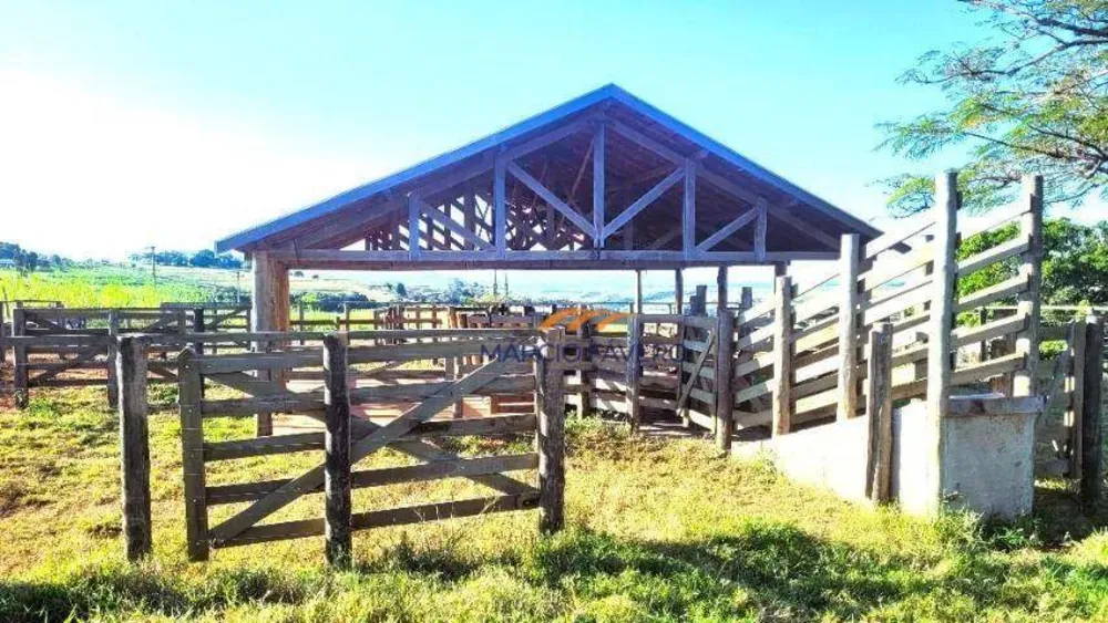 Sítio, 35 hectares - Foto 10