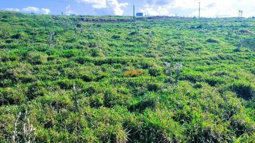 Sítio, 35 hectares - Foto 4
