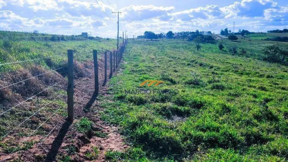 Sítio, 35 hectares - Foto 7