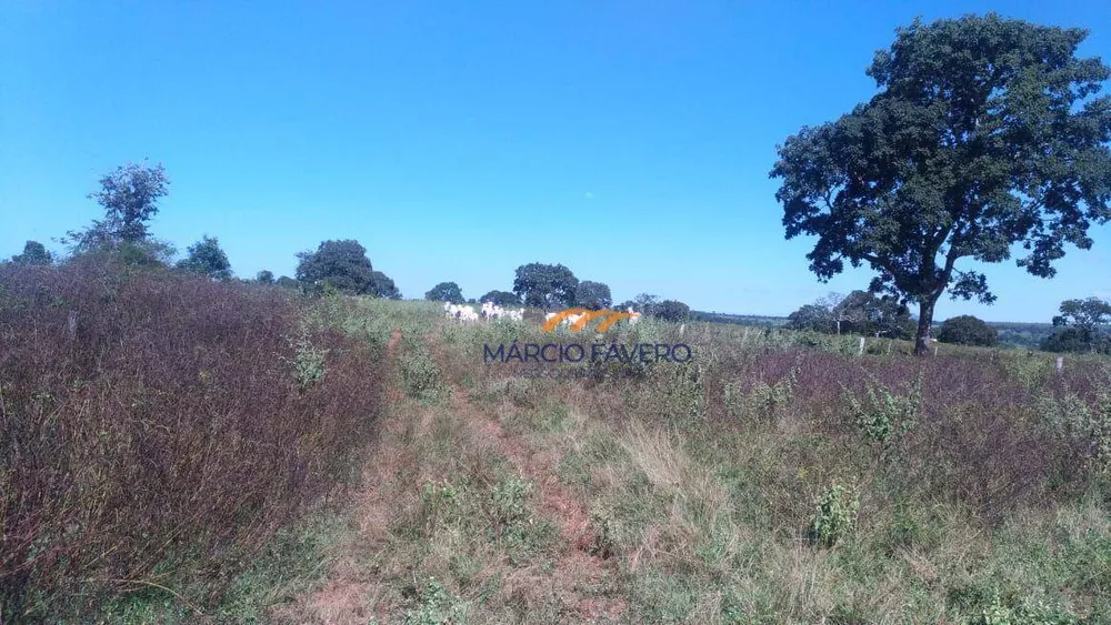 Fazenda, 1411 hectares - Foto 10