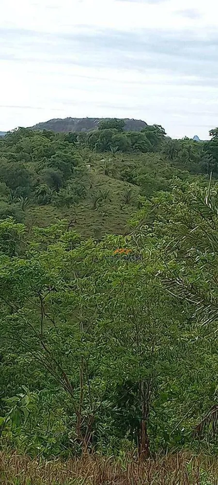 Fazenda, 1411 hectares - Foto 12