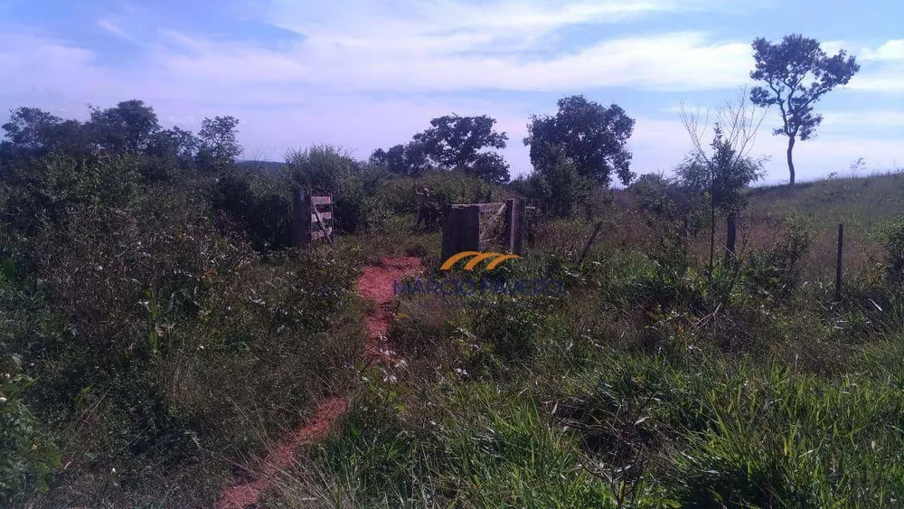 Fazenda, 1411 hectares - Foto 9