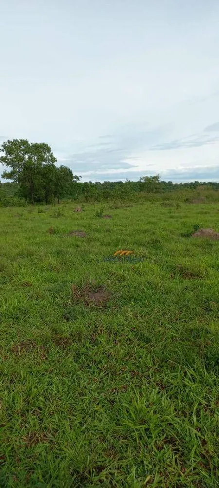 Fazenda, 1411 hectares - Foto 11
