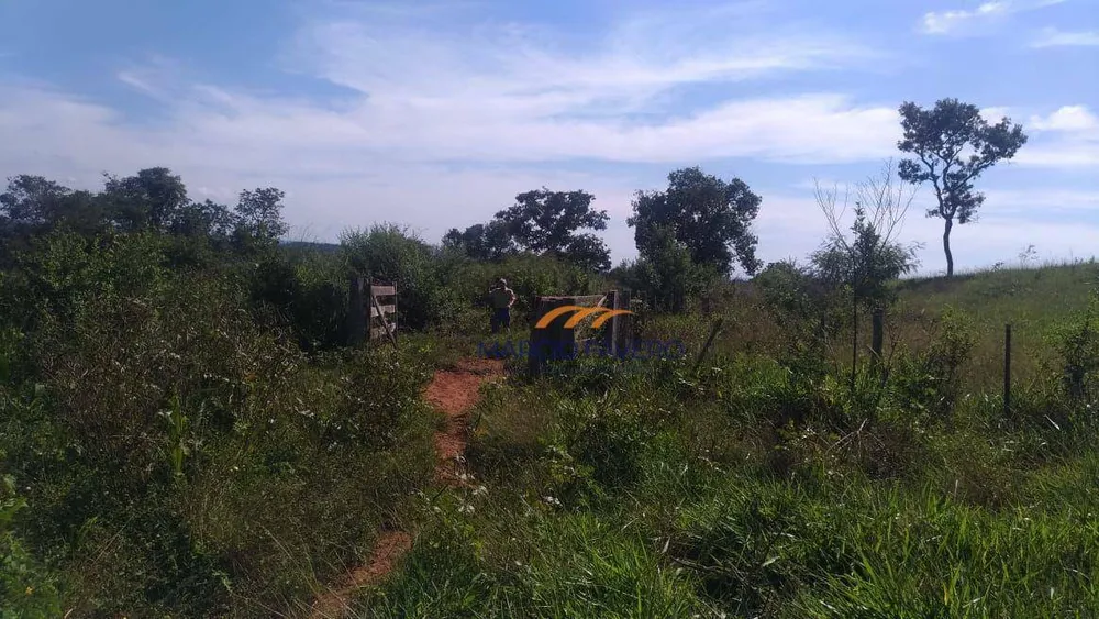 Fazenda, 1411 hectares - Foto 3