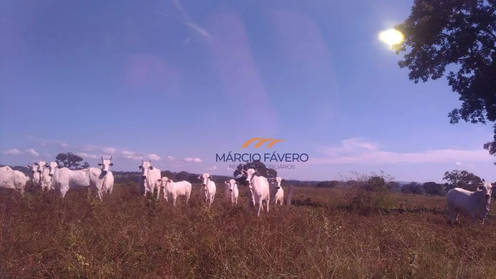 Fazenda, 1411 hectares - Foto 2