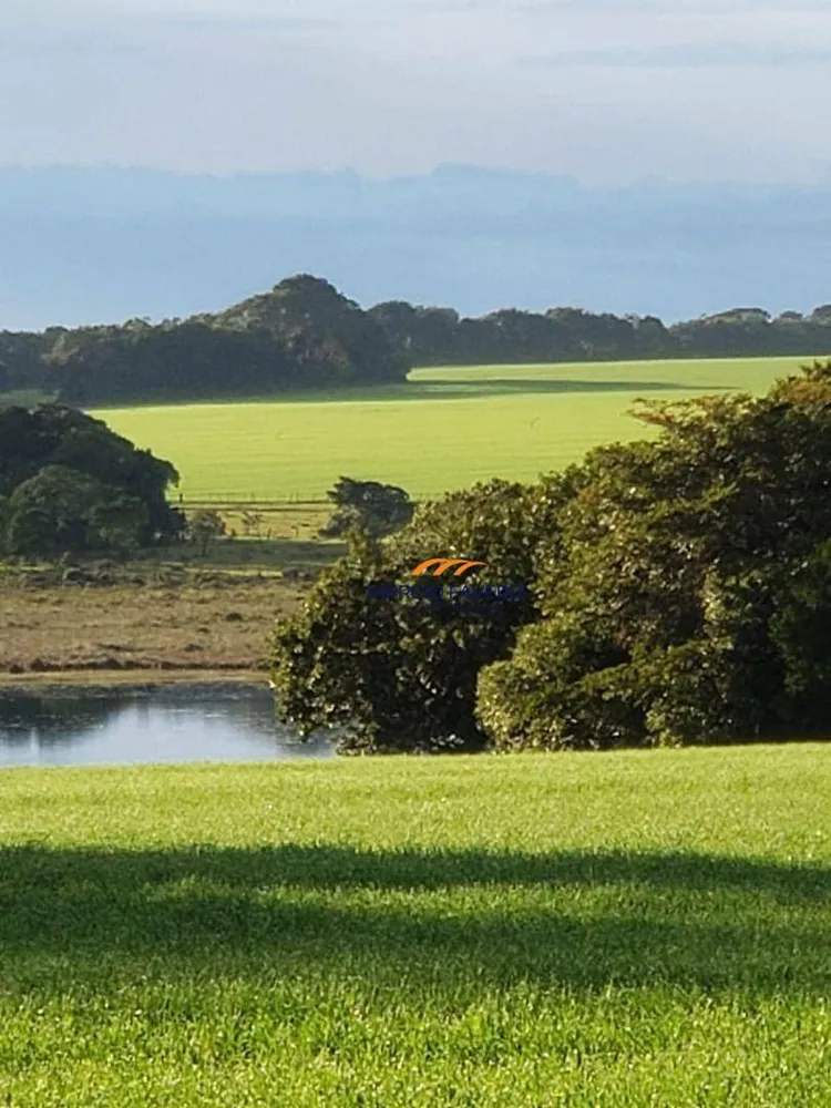 Fazenda, 2260 hectares - Foto 10