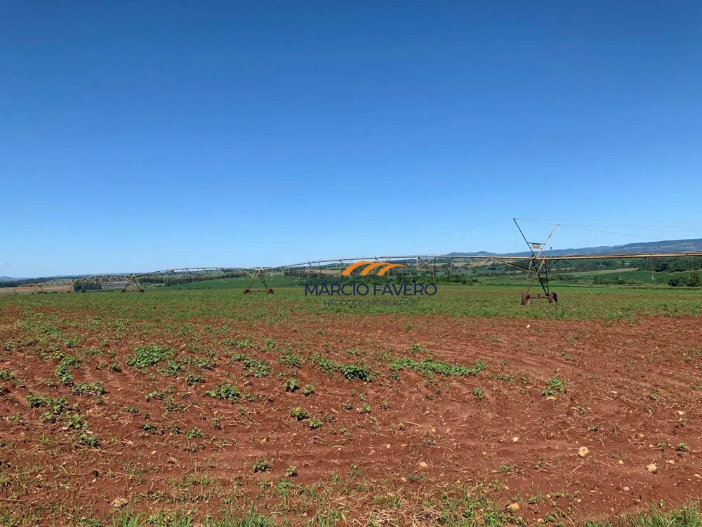 Fazenda, 257 hectares - Foto 5