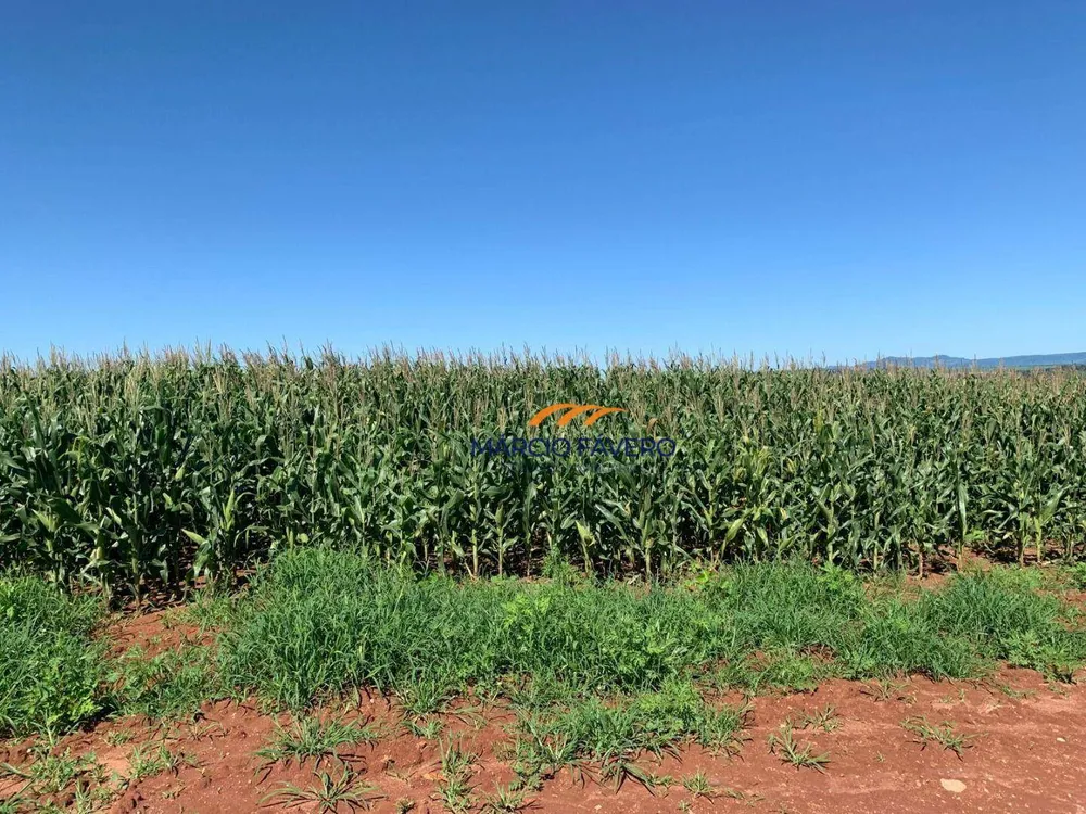 Fazenda, 257 hectares - Foto 1