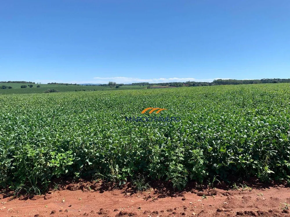 Fazenda, 257 hectares - Foto 3