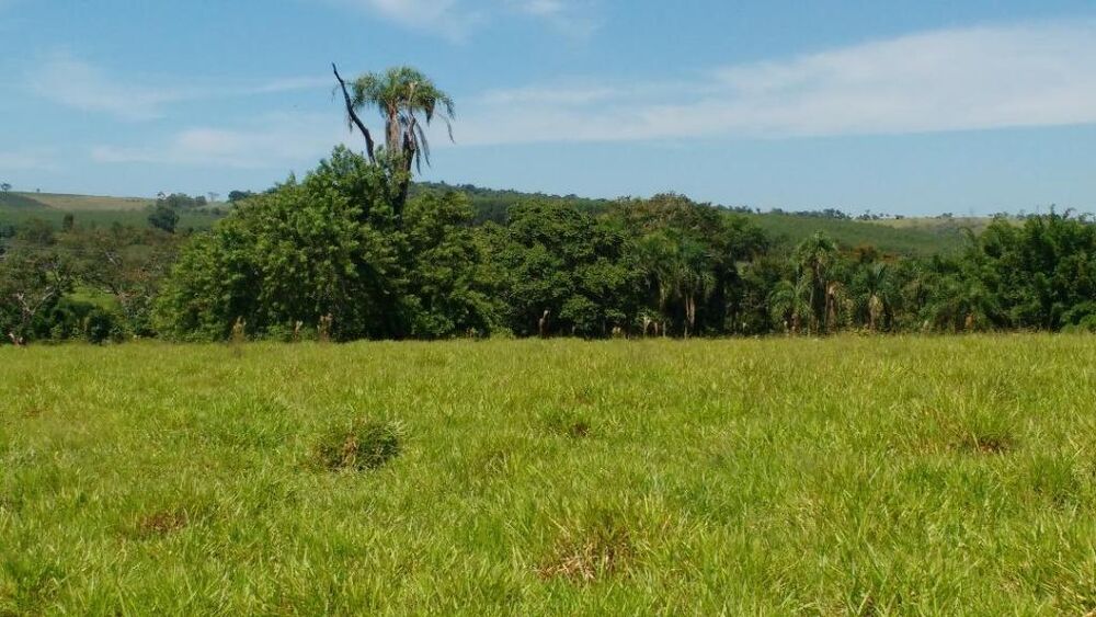 Fazenda à venda, 605000M2 - Foto 6