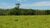 Fazenda-Sítio-Chácara, 61 hectares - Foto 6