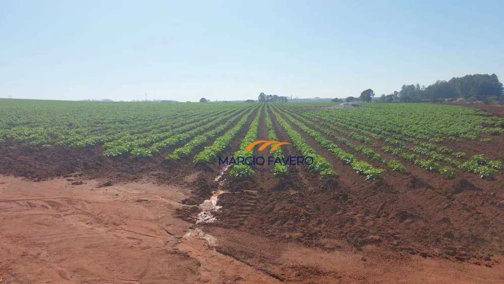 Fazenda, 252 hectares - Foto 2