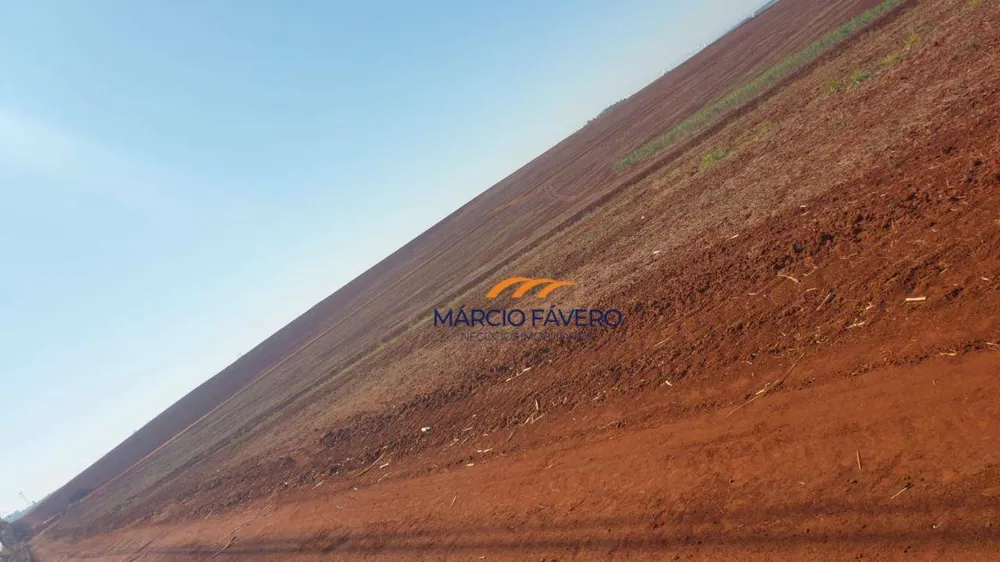 Fazenda, 252 hectares - Foto 6