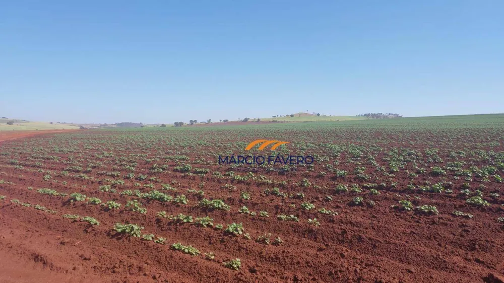 Fazenda, 252 hectares - Foto 7