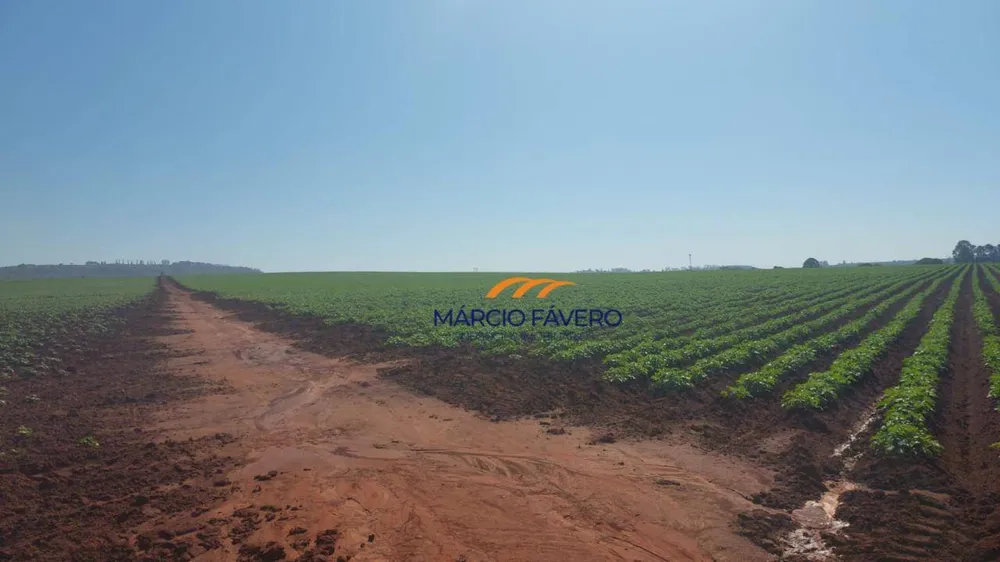 Fazenda, 252 hectares - Foto 1