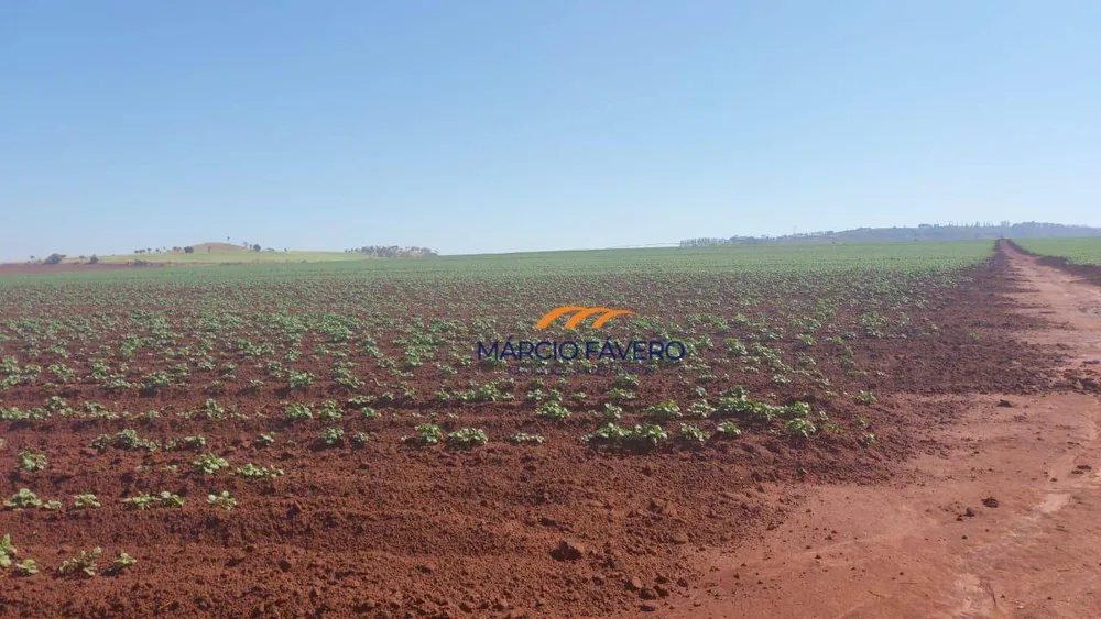 Fazenda, 252 hectares - Foto 3