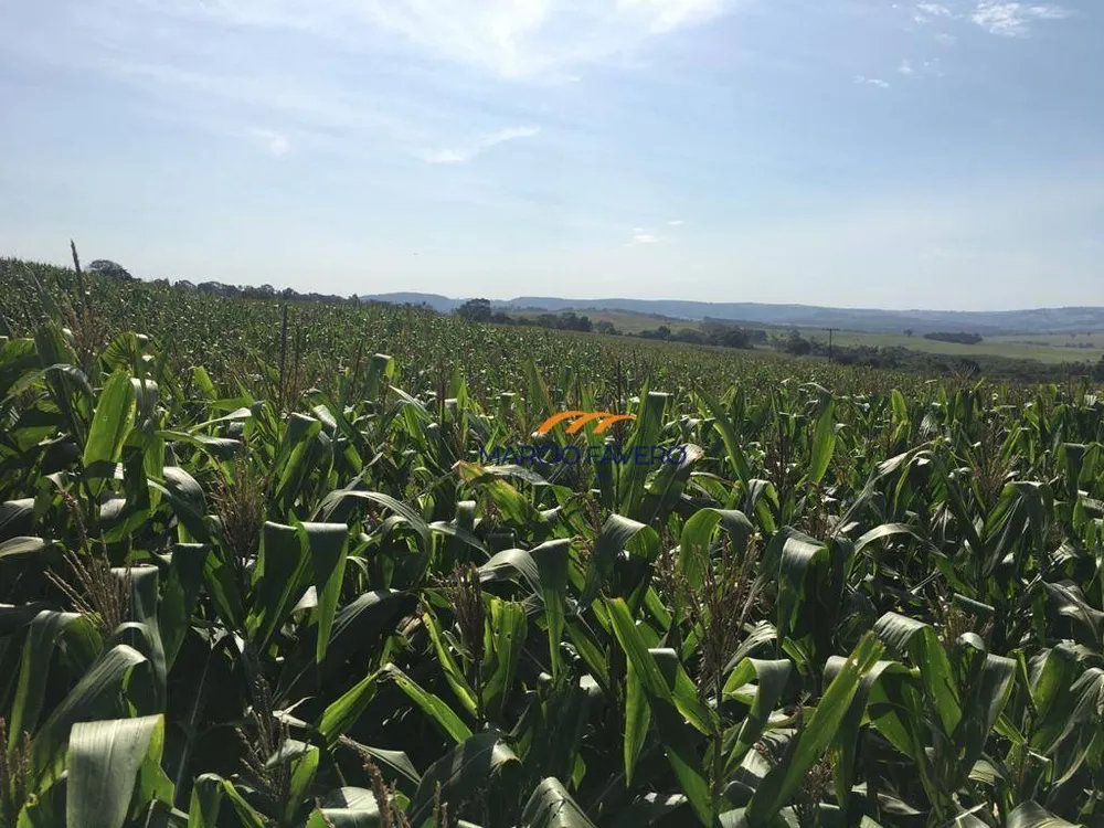Fazenda, 266 hectares - Foto 12