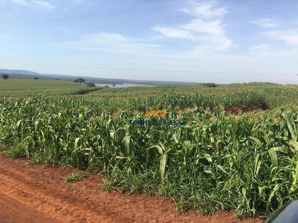 Fazenda, 266 hectares - Foto 2