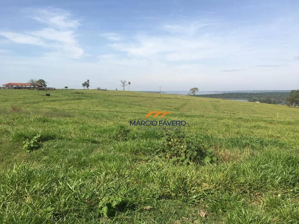 Fazenda, 266 hectares - Foto 6