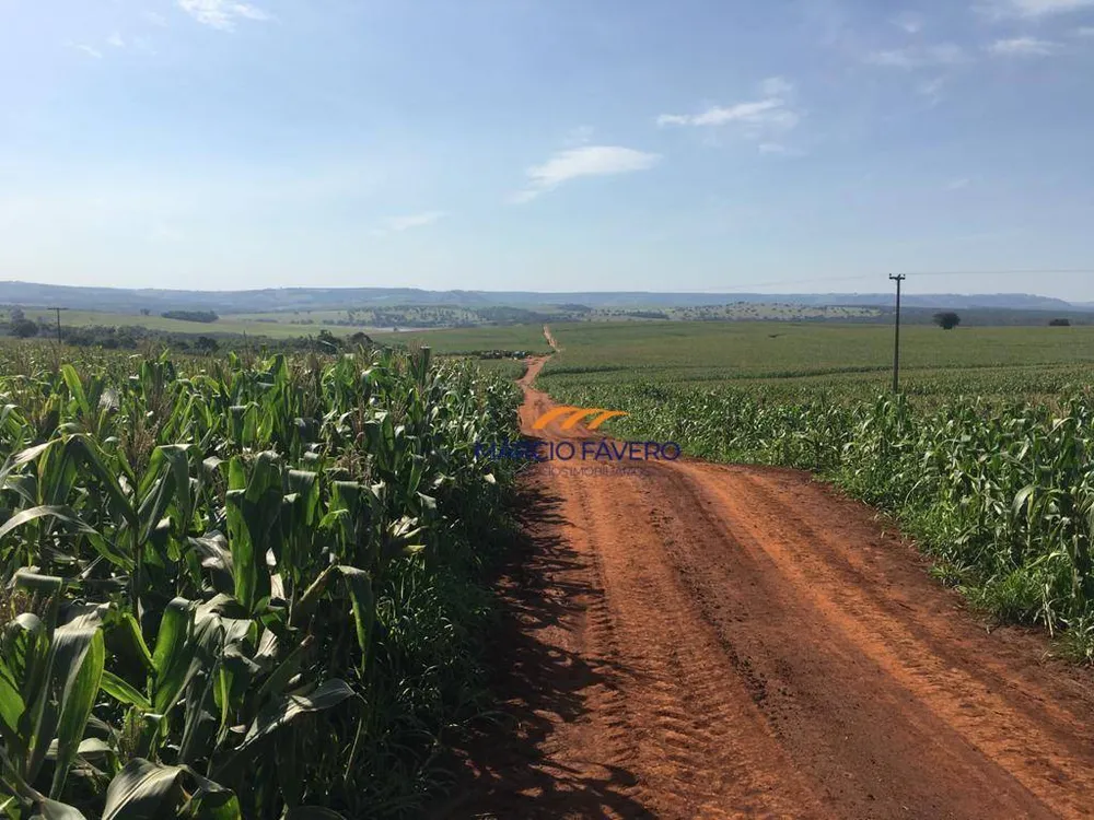 Fazenda, 266 hectares - Foto 3