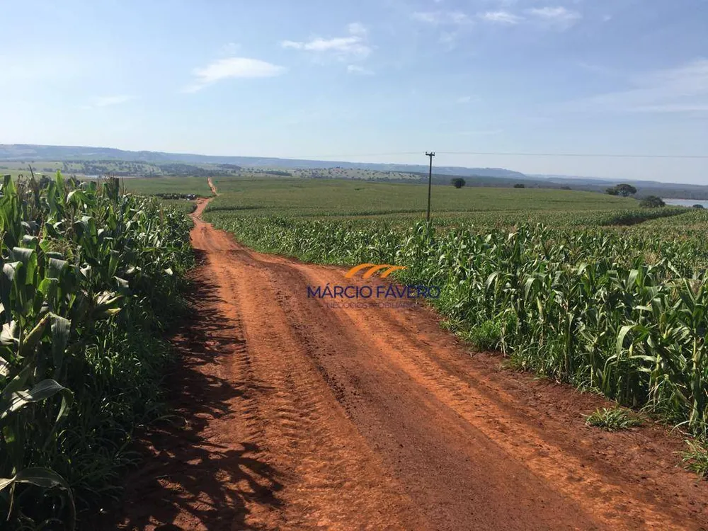 Fazenda, 266 hectares - Foto 9