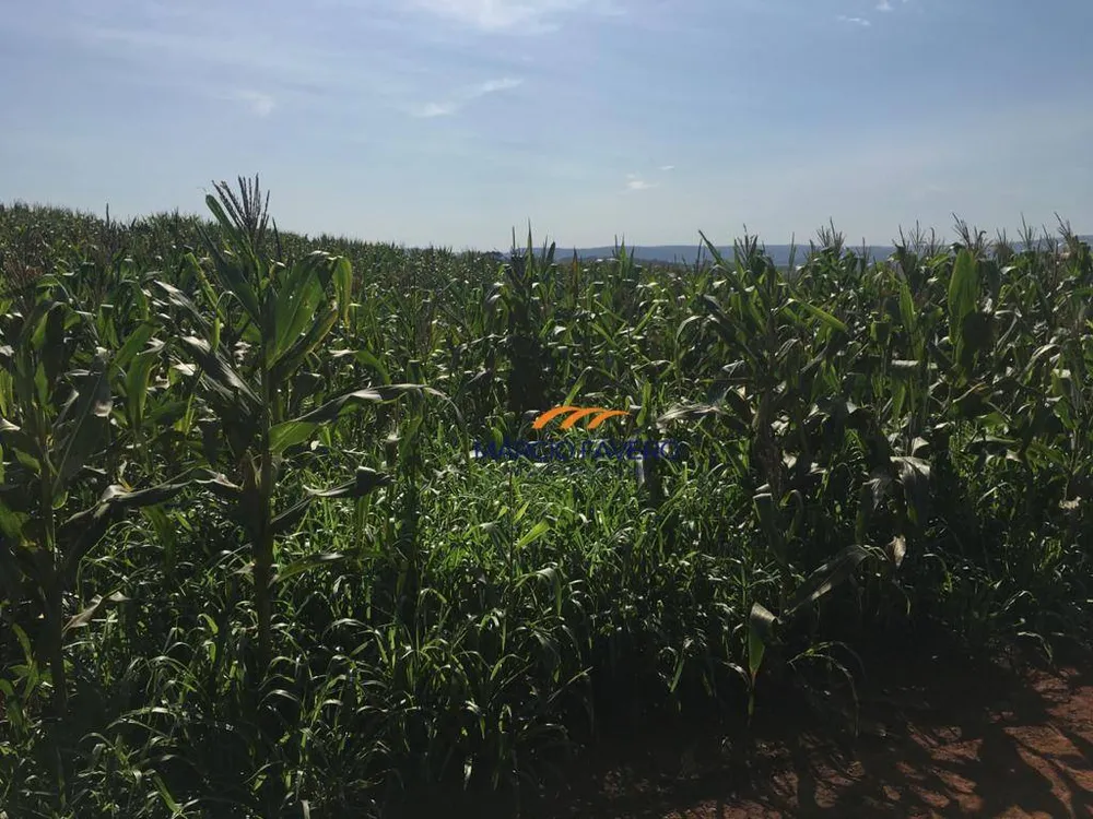 Fazenda, 266 hectares - Foto 15