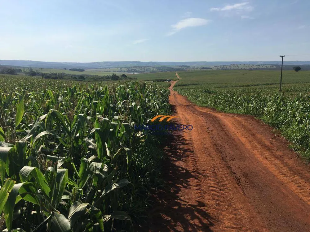 Fazenda, 266 hectares - Foto 10