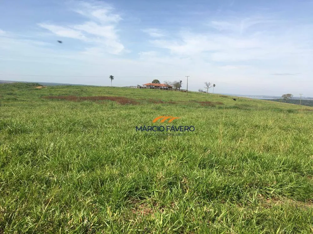 Fazenda, 266 hectares - Foto 4