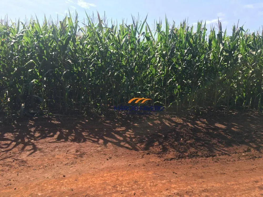 Fazenda, 266 hectares - Foto 11