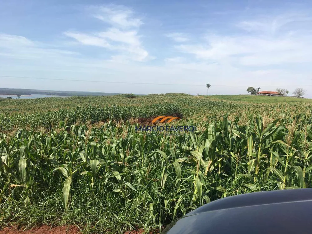 Fazenda, 266 hectares - Foto 13