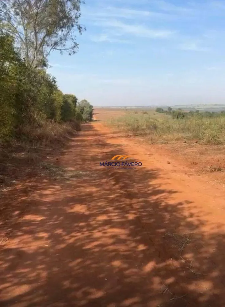 Fazenda, 123 hectares - Foto 7