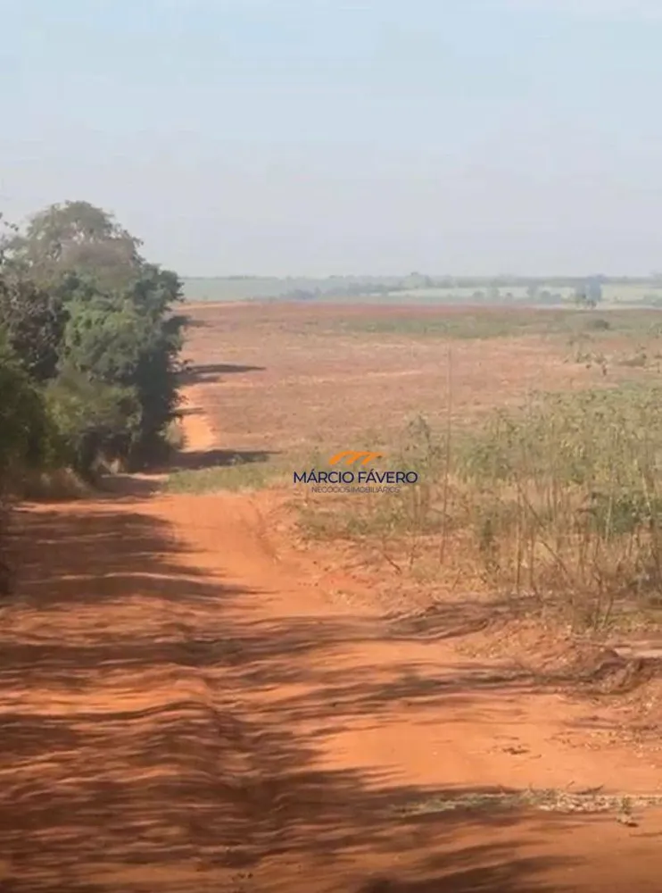 Fazenda, 123 hectares - Foto 8