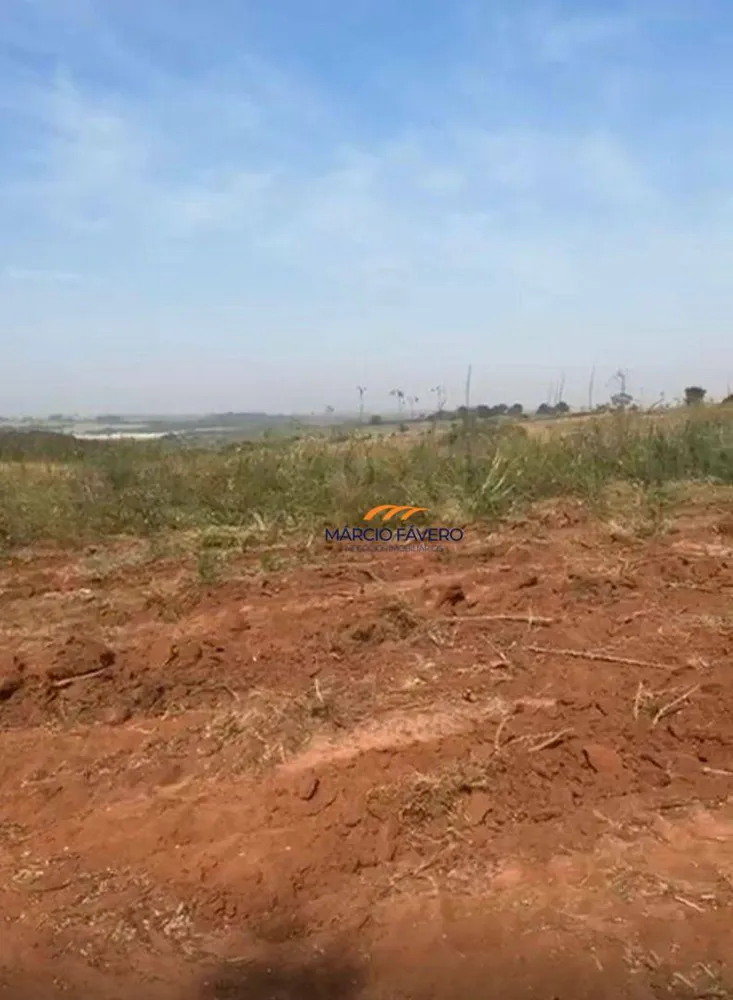 Fazenda, 123 hectares - Foto 6