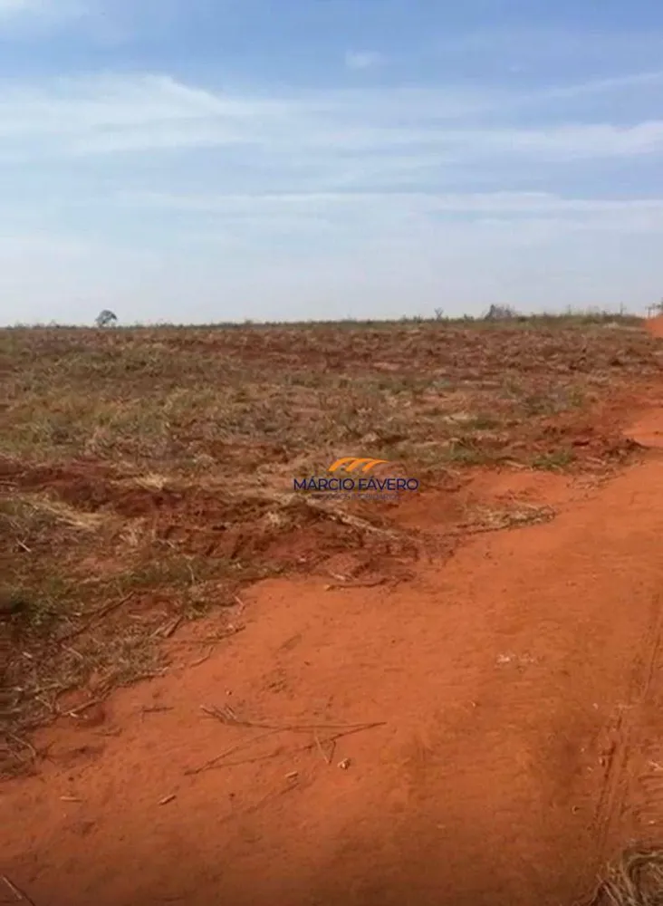 Fazenda, 123 hectares - Foto 4