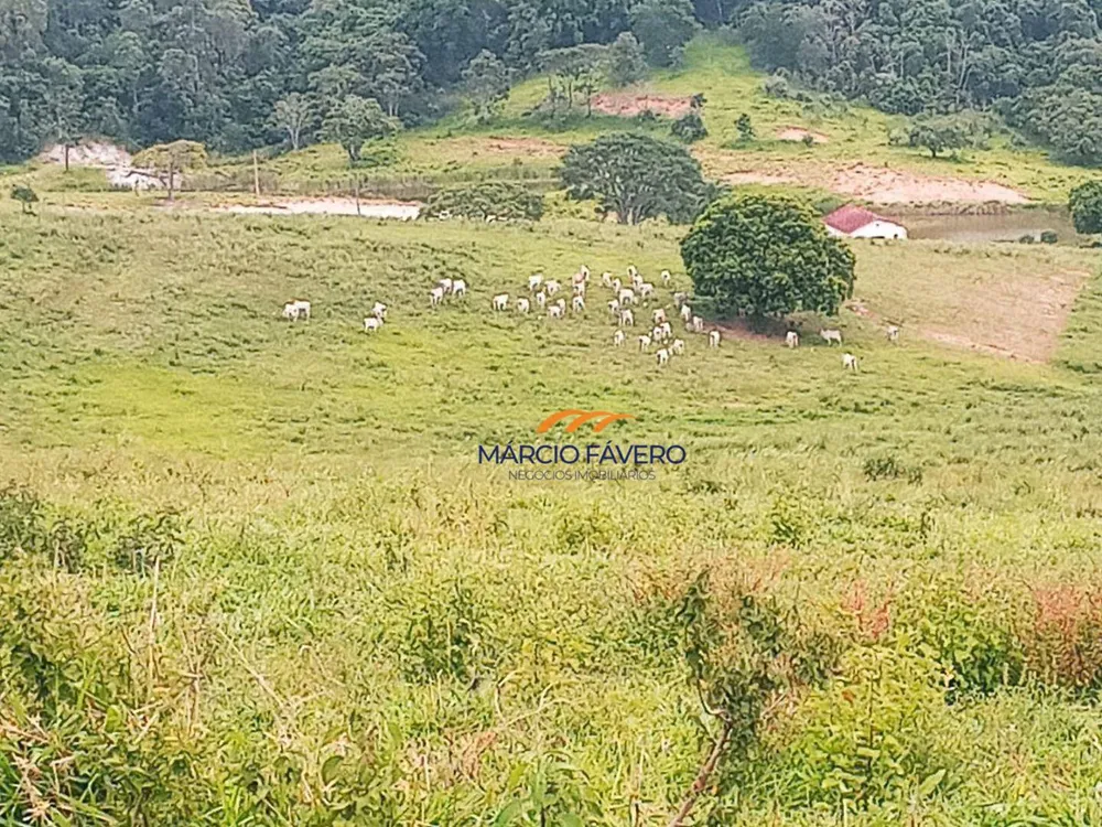 Fazenda, 992 hectares - Foto 14