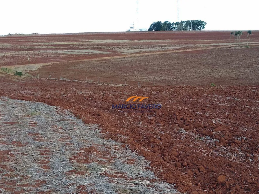 Fazenda, 266 hectares - Foto 6