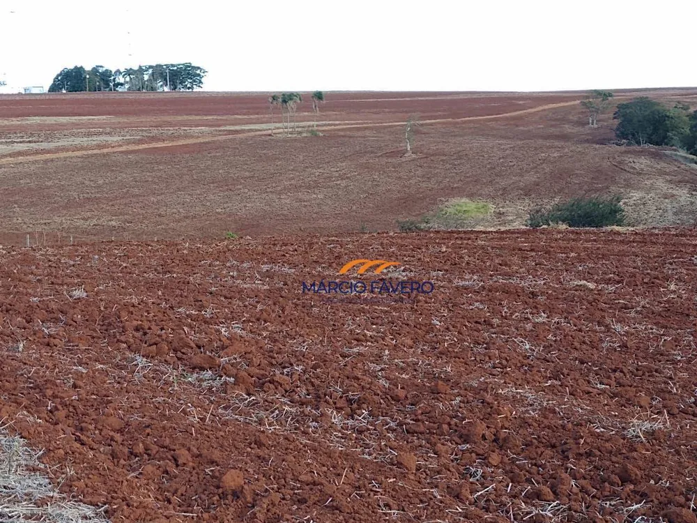 Fazenda, 266 hectares - Foto 9