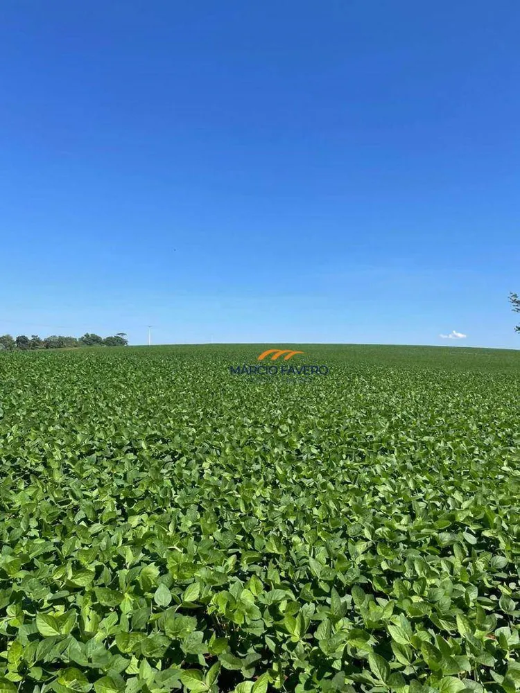 Fazenda, 266 hectares - Foto 11