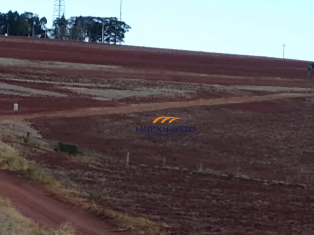 Fazenda, 266 hectares - Foto 2