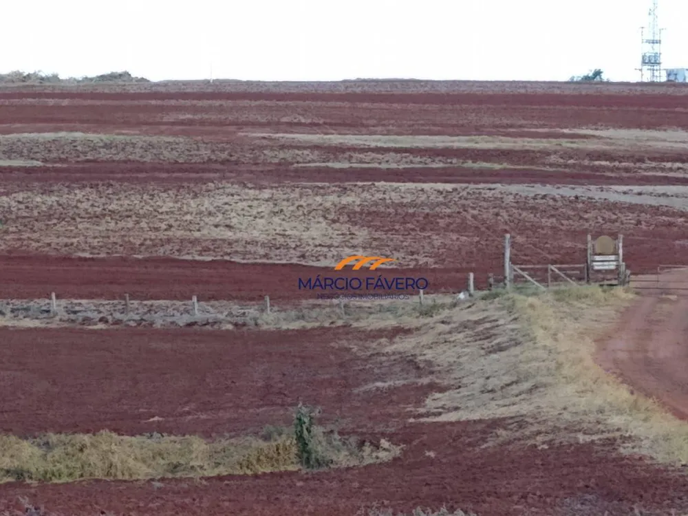 Fazenda, 266 hectares - Foto 7